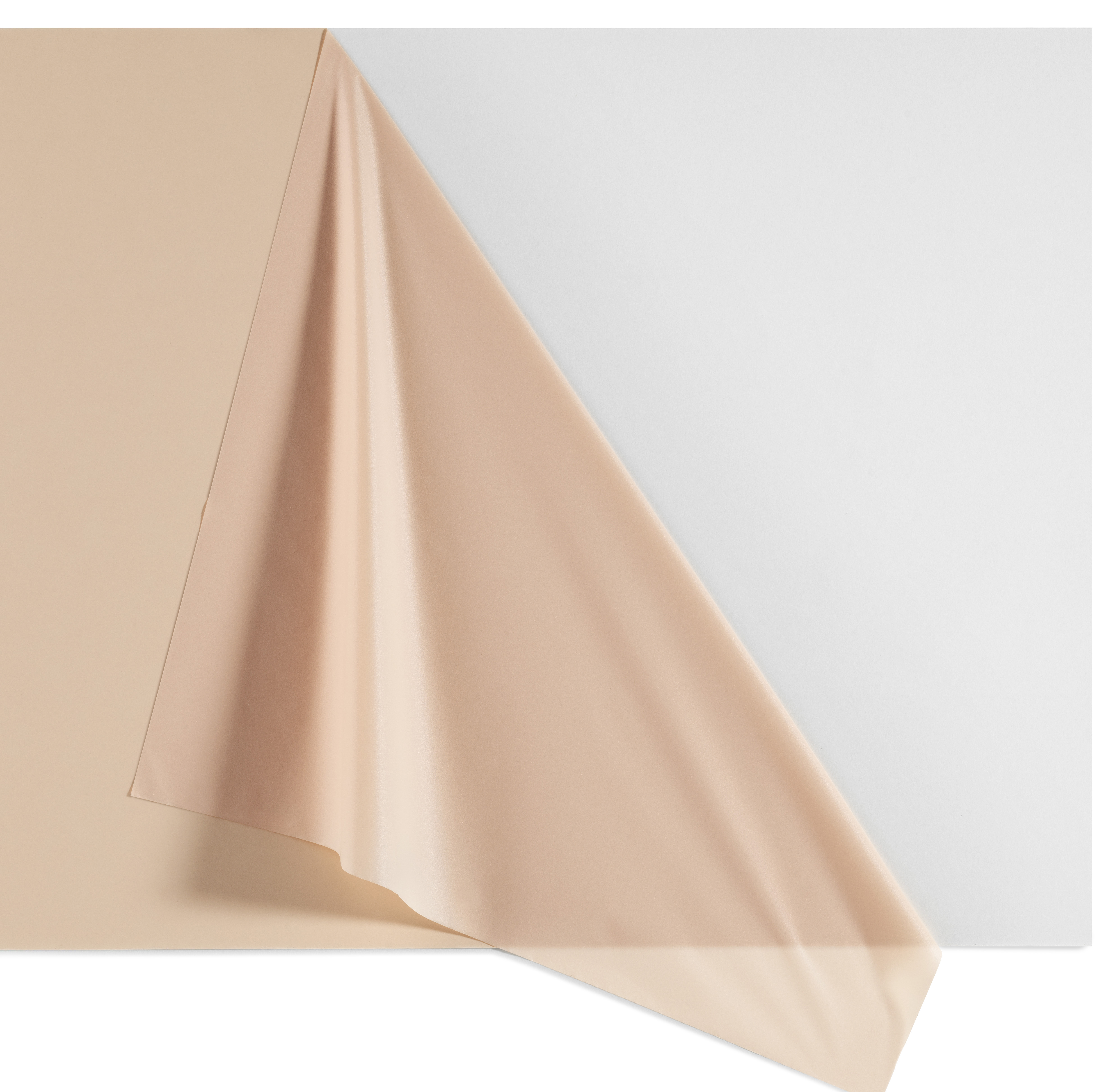 <ul><li>Skin colored polyurethane films available on different carriers, in various thicknesses and with different technical properties (MVTR, elongation etc.)&nbsp;&nbsp; </li></ul>
